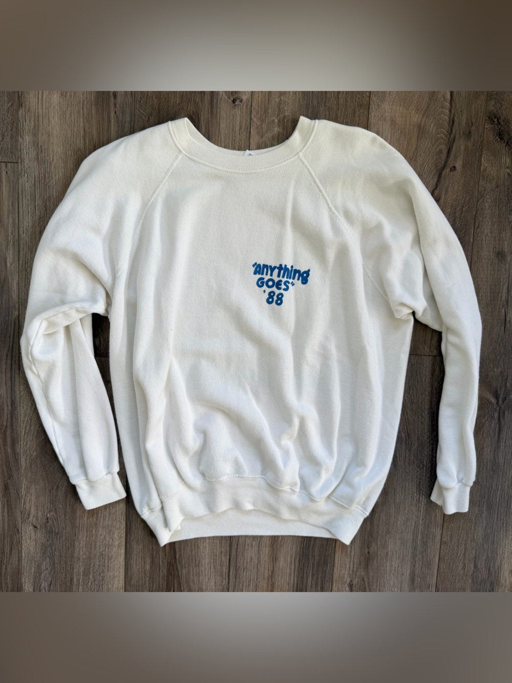 Vintage Hanes White Sweatshirt with Blue Graphic